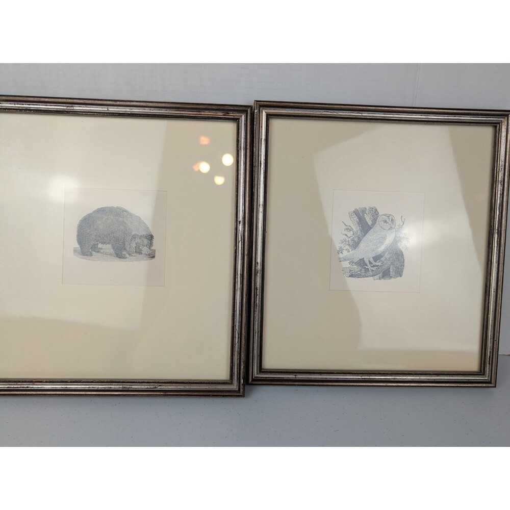 Pair Thomas Bewick Wood Engravings Barn Owl & Black Bear Relief Prints Framed
